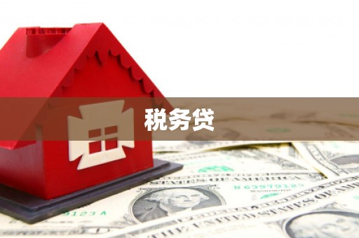 和美税务贷
