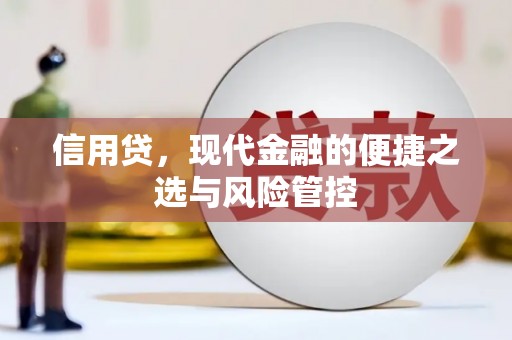 和美信用贷，现代金融的便捷之选与风险管控