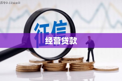 和美经营贷款