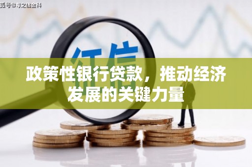 和美政策性银行贷款，推动经济发展的关键力量
