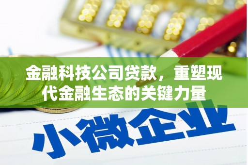 和美金融科技公司贷款，重塑现代金融生态的关键力量