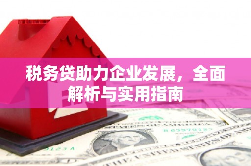 和美税务贷助力企业发展，全面解析与实用指南