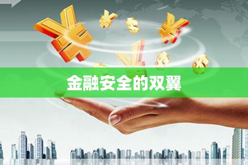 和美金融安全的双翼