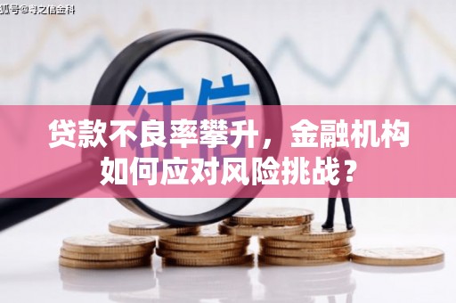 和美贷款不良率攀升，金融机构如何应对风险挑战？