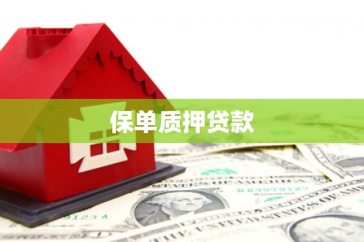 和美保单质押贷款
