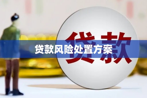 和美贷款风险处置方案