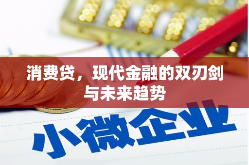 和美消费贷，现代金融的双刃剑与未来趋势