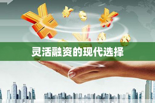 和美灵活融资的现代选择