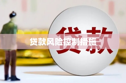 和美贷款风险控制措施