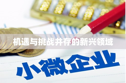 和美机遇与挑战并存的新兴领域
