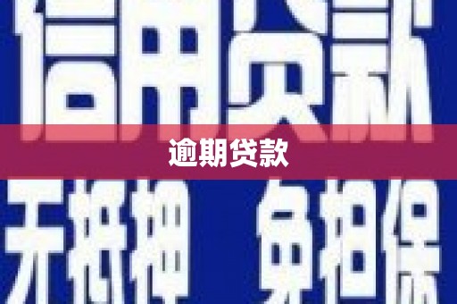 和美逾期贷款