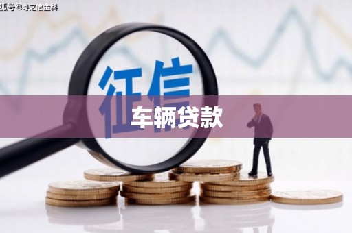和美车辆贷款