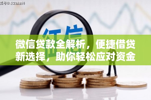 和美微信贷款全解析，便捷借贷新选择，助你轻松应对资金需求